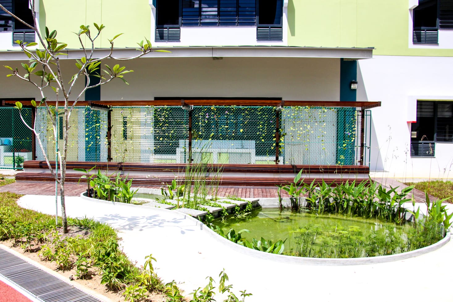 A small pond with aquatic plants sits in a courtyard beside a green building with a wooden deck and trellis wall.